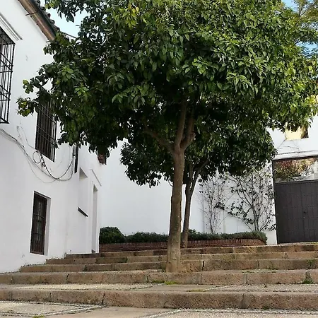 Lola5 Córdoba