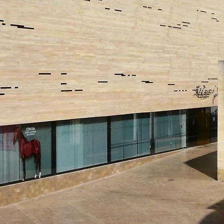 Lola5 Córdoba