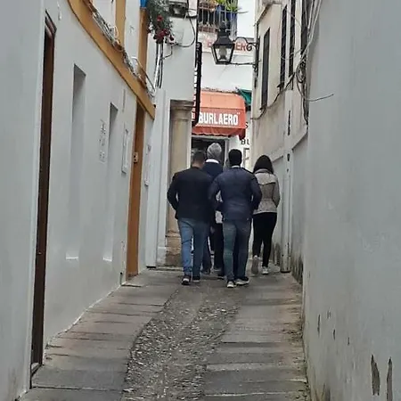 Lola5 Apartmán