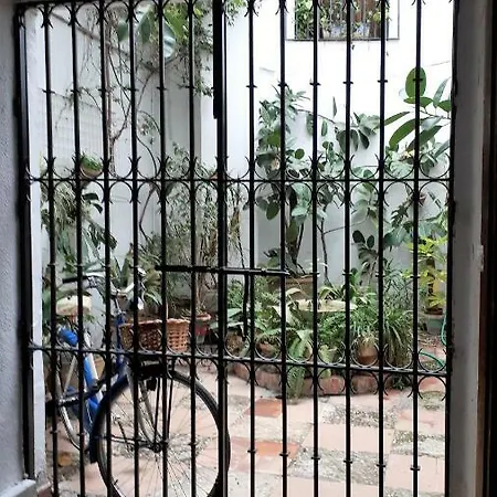 Lola5 Córdoba