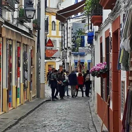 Lola5 * Córdoba