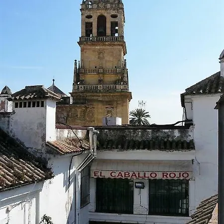 Lola5 Kordoba